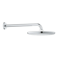 Верхний душ с настенным кронштейном Grohe Tempesta (260000) Верхний душ с настенным кронштейном Grohe Tempesta (260000)
