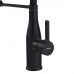 Змішувач для кухні Mixxus Premium Summer 017 BLACK REFL.BLACK (MI6961)