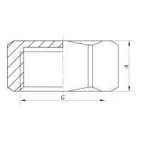 Заглушка Koer KF.P08F.WN - 3/4'' F без нікелю (KR5571)