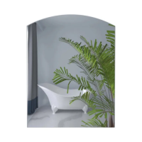 Зеркало настенное Zerix ALIVE MRZ01-600x800 прямоугольное с дугообразным верxом (ZX5618)