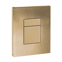 Панель змиву пластикова Koer KT-0607-12 157x198x3mm, кнопка квадратна (колір матове золото) (KR5715