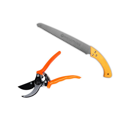Набір садових інструментів Polax секатор ресорний і ножівка 350 мм (770-10) Набір садових інструментів Polax секатор ресорний і ножівка 350 мм (770-10)