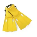 Ласти для плавання