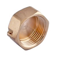 Заглушка Koer KF.P08F.WN - 3/4'' F без никеля (KR3098)