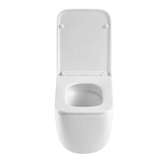 Комплект Grohe Set Унітаз DIVERSE-0301-T1 + Інсталяція Grohe Rapid SL 38772001 (38772001DIVERS0301T