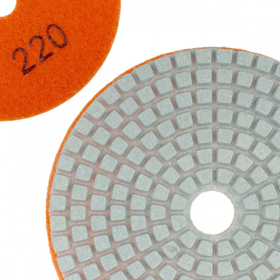 Диск алмазний Polax шліфувальний гнучкий на липучці "Черепашка" 100 мм, P220 (54-203)